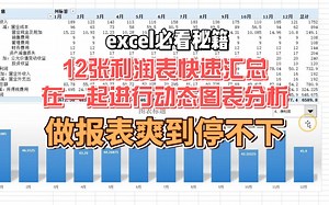 excel技巧：12张利润表快速汇总在一起进行动态图表分析，数据透视表 index函数