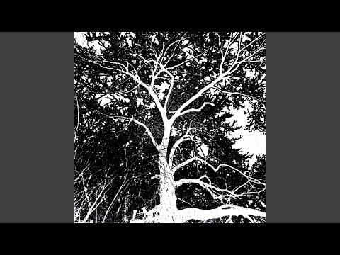 I Want to Listen to Your Voice