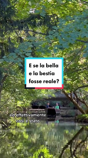 Esperienza BESTIALE nella zona dell'Alsazia | Consigli Interrail