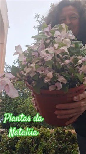 🌿🍀Blushing Bride