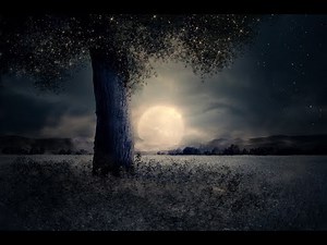 Crickets Sound Effect chirping noise night sounds for sleeping 1 hour