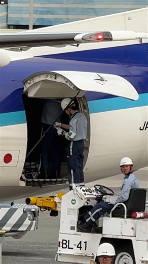 ベルトローダー上を通ってカーゴルームへ！ANA WINGS Bombardier DHC-8-402Q Dash 8 大阪国際（伊丹）空港 #shorts