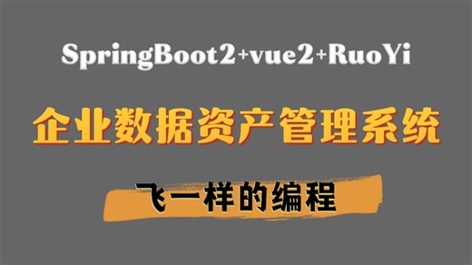 基于Springboot vue RuoYi的企业数据资产管理系统-功能演示