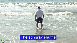 5.3K views · 69 reactions | OCEAN LIFE SAFETY! The ocean is home to...