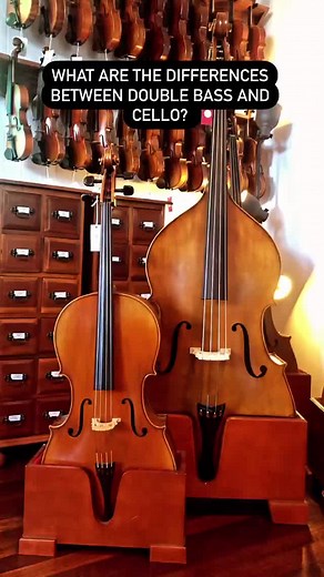 “Cello, you’ve got a bass!” Sometimes they get a little mixed up, but cello and double bass are two very different instruments! #cello #doublebass