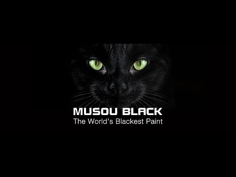 Musou Black - The World's Blackest Paint
