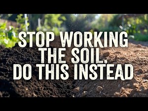 The Forgotten Fallow Trick That Recharged My Soil Faster Than Compost