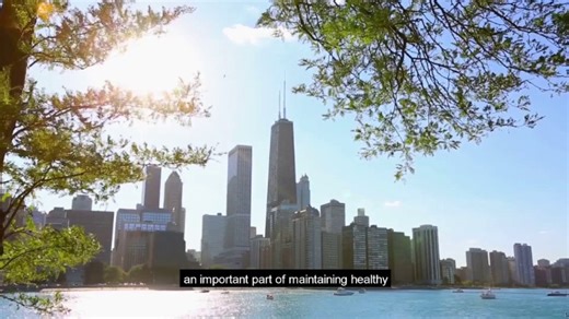 Trees are an essential part of the environment! 🌳 When planting trees, consider the location of power lines to help cultivate a balance between reliability and sustainability. Review our online guide for details about scheduled maintenance and planting locations. | ComEd