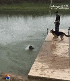 Never give up! 😀 | Virtual Running Club