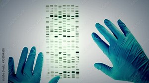 DNA match successful, slides matched up. Close up of blue gloves in criminal justice lab, crime solving genetic genealogy. A laboratory technician compares DNA samples, forensic technology. Cold case.