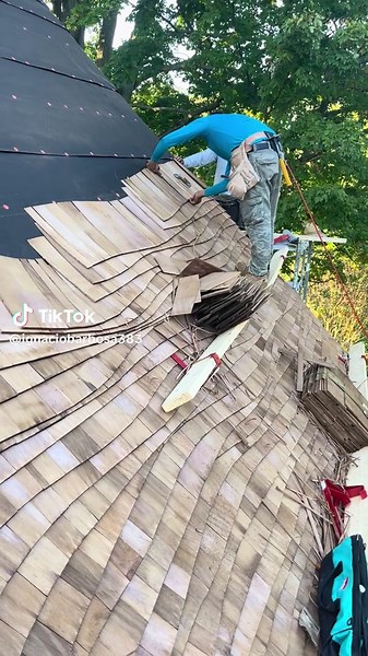 ignaciobarbosa383 (@ignaciobarbosa383)’s videos with sonido original - DonYaritzo