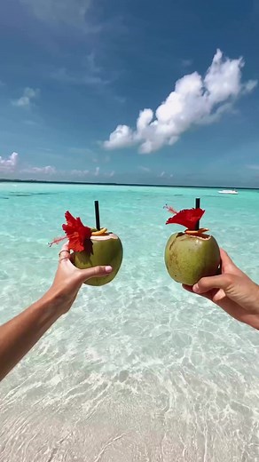 Celebrate life as nature intended and discover this ecological jewel known as Ayada Maldives Resort🌴💎...#maldivesphotographer #beachlife #maldivessurf #maldivesdiving #beachvibes #beachvilla #themaldives #ilovemaldives #islandlife #honeymoon #wanderlust #maldivestraveller #luxmaldives #vacation #travelphotography #maldivesdreamdestination #maldivestrees #maldivesindonesia #maldivesblue #lovemaldives #couplegoals #maldivespackage #travelnow #maldivesfamily #maldivesdairy #honeymoondiaries #hone