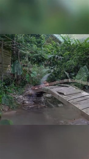 4.1K views · 39 reactions | How to build a bridge over a stream - Part 3 #bushcraft #camp #camp... | Kerry Barrett | Facebook