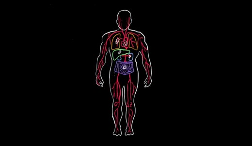 C ANCA Blood Test Results Interpreted - HRF