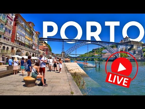 🔴 LIVE Porto Walking Tour 🇵🇹 | Discover one of Portugal's most charming cities!