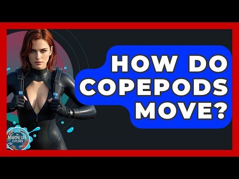 How Do Copepods Move? - The Marine Life Explorer