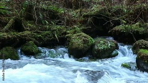 Fresh Pure Flowing Spring Water Stream