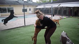 1.4K views · 30 reactions | Happy National Pet Day from our Pet Paradise family! Thank you for letting us love your pets as our own. They've changed our lives for the better and we are so happy you've let them become part of our family.❤️ | Pet Paradise | Facebook