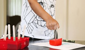 Observing Ice | Crafts for Kids