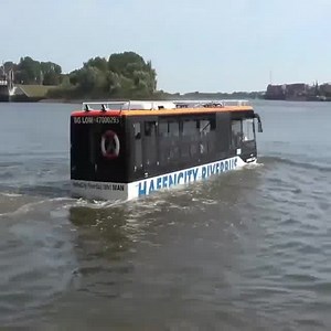 4.2M views · 64K reactions | Amphibious Bus driving into River | Pearl Modiadie | Facebook