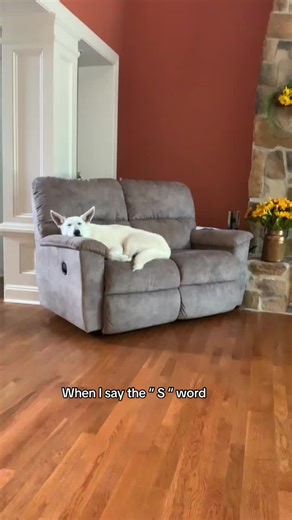 Gsdandhikingfun (@gsdandhikingfun)’s video of the s word