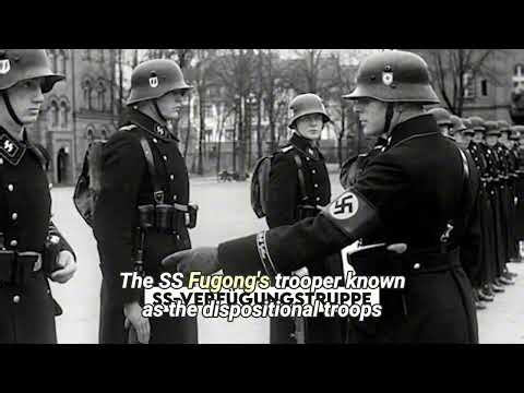 Why Hitler Chose the SS Over Other Paramilitary Groups