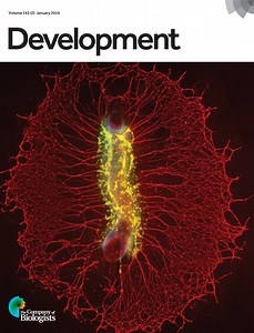 The formation and function of the cardiac conduction system
