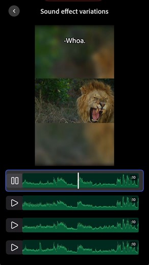 11K views · 71 reactions | A lion does not concern himself with mismatched sound effects. Just use Premiere on iPhone's Adobe Firefly-powered generator to deliver tailored SFX right to your edit. 女 https://adobe.ly/3WGKj3q | Adobe Video | Facebook