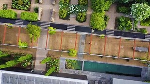 🌷 Explore gardens and artwork in Western Victoria with the NGVWA for Virtual Garden Day 2021. Enjoy a unique cinematic tour of four private gardens alongside commentary from NGV curators about artwork connected to Western Victoria. Meet the current custodians and enjoy a unique online guided tour of these eclectic and beautiful gardens. Learn about their design, planning, featured plants, commitment to history and the environment. Tickets are available now and the film is available from 11am on