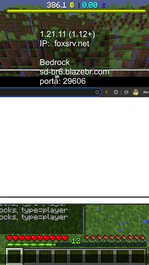 Playing with Subscribers on a Brazilian Minecraft Bedrock and Java Server with Voice Chat