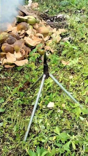 Sulak - A Practical Three-Legged Coconut Husk Peeler Solution
