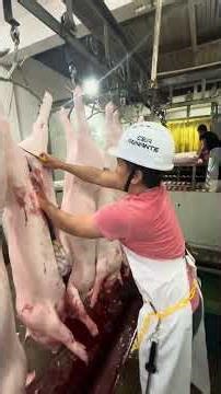 Evisceration Skill Demonstration 1