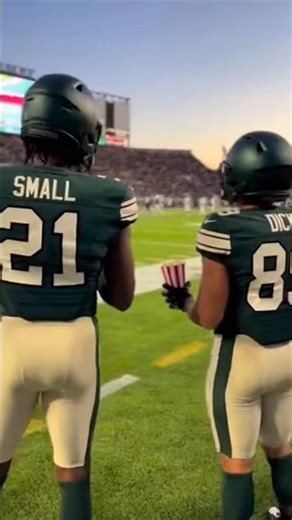 Small Dick enjoying the game #nfl #shorts #viral