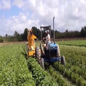 You won't believe how farmers work in America - Modern agriculture #FarmChannel | Farm Channel