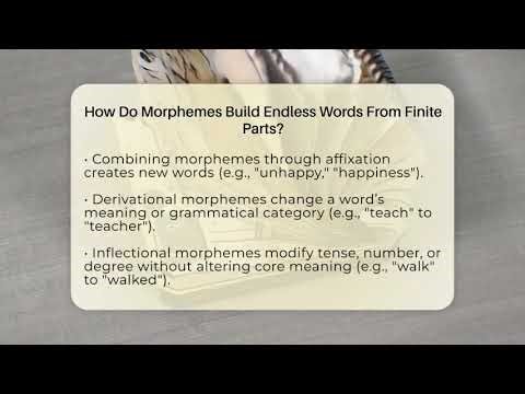 How Do Morphemes Build Endless Words From Finite Parts? - The Daily Definition
