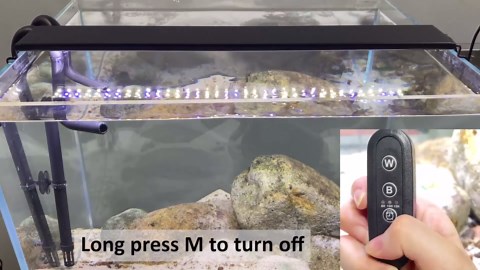 NICREW AquaLux White and Blue LED Aquarium Light, Intensity Adjustable Freshwater Fish Tank Light with 8/10/12 Hours Timer, Sunrise and Sunset Function, 48-60 Inch, 32 Watts