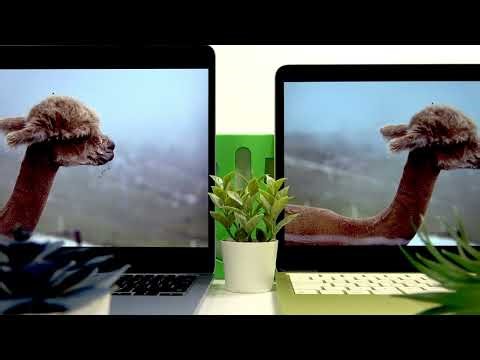 MacBook Neo VS MacBook Air - Display Comparison