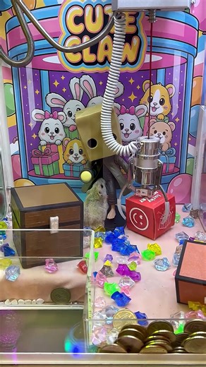 161K views · 1.4K reactions | This Claw Machine Is Totally Insane Part 45 #clawmachine #arcade | Claw Frenzy | Facebook