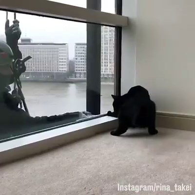 'This happens every week' 😂😂 | LADbible