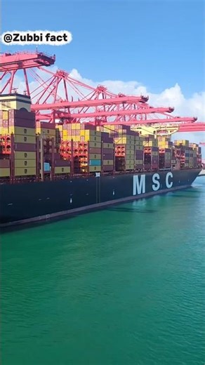 बड़े कंटेनर शिप 🛳️ भारत में क्यो नहीं आते #trending #facts #amazingfacts #gk