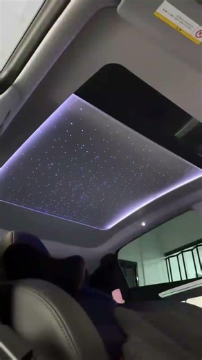 TSL Model 3 / Y Starry Sky Sunshade