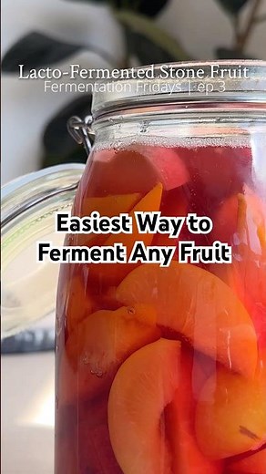 Lacto-fermentation is so easy! All you need is salt, water, & time to create probiotic-rich foods!