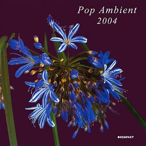 Various - Pop Ambient 2004