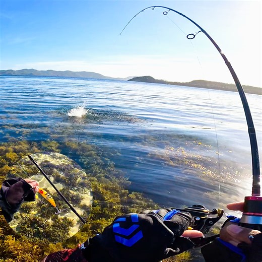 1.2M views · 10K reactions | Napaka Linaw Ng Dagat! | JT Sintak Minnow 8 grams Napalaban sa Mga Tulisan!. Gear setup  Rod: Silver Bullet Sabpolo 702 Ultralight ( from goodcatch fishing supply) Reel: Ryobi Ultrapower 1000series Main line: Rikimaru 6lb x8 braid (from Pamasoul) Leader line: Rikimaru 12(from Pamasoul) Lure: JT Sintak Minnow 8 grams 6cm #AnglerLife #fish #islandlife #fishingtrip #followers | Footstep Angler TV | Facebook