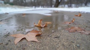 Frozen Puddle Covered Ice Fallen Leaves Stock Footage Video (100% Royalty-free) 1020985024 | Shutterstock