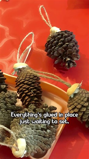 DIY VIDEO | Wall Hanging | Pime cones #diy #diycrafts #diycraft #craftideas