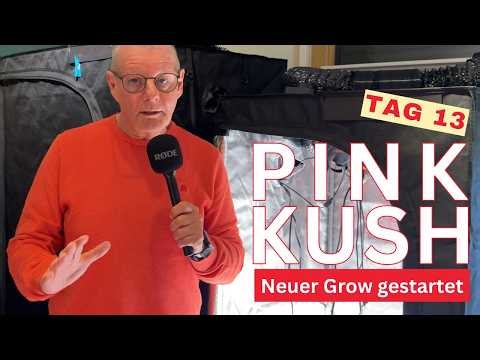 Growth update on day 13: The lady and her companions