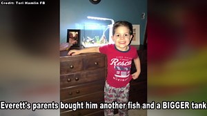 4-year-old boy accidentally kills fish after cuddling it
