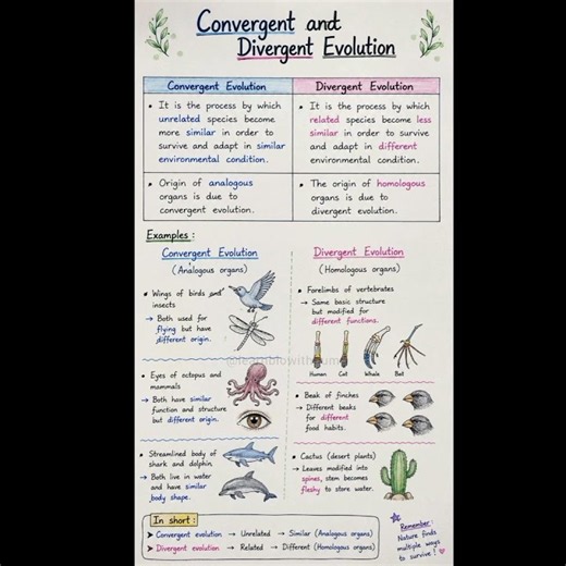 Convergent and Divergent Evolution.
