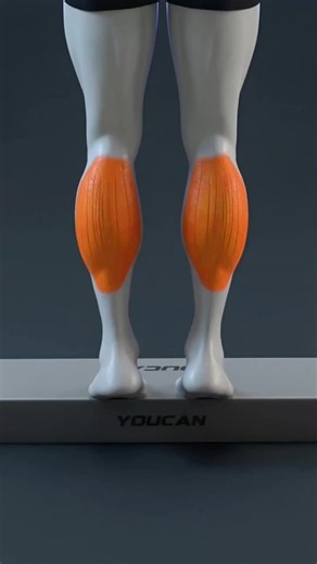Build Bigger Calves with Proper Technique
